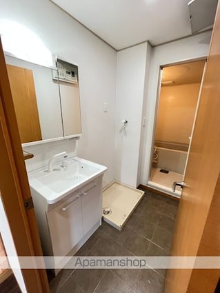 パークハイム[2DK/50.42m2]の洗面所