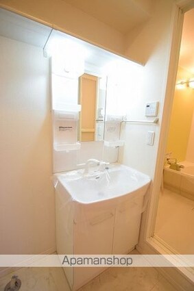 ブルックスターⅡ[2LDK/54.76m2]の洗面所