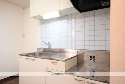 サンライズ[1K/30.71m2]の内装3