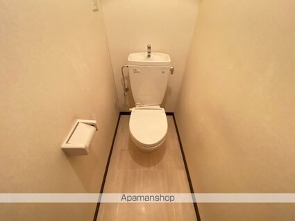 シェルメゾンダイチ[1LDK/42.93m2]のトイレ