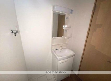 フラワーハウス野村[1R/20.93m2]の洗面所