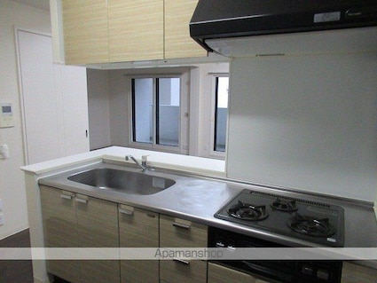 スカール桜城[2LDK/58.14m2]のキッチン