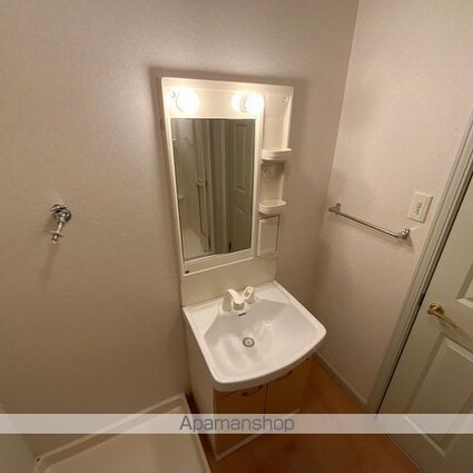 グランディール希[2LDK/56.19m2]の洗面所