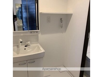 ピアコートＴＭ富士見台弐番館[1K/21.3m2]の洗面所