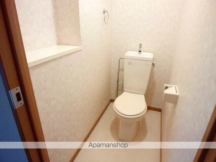 サングリーン藤沢[2DK/50.54m2]のトイレ