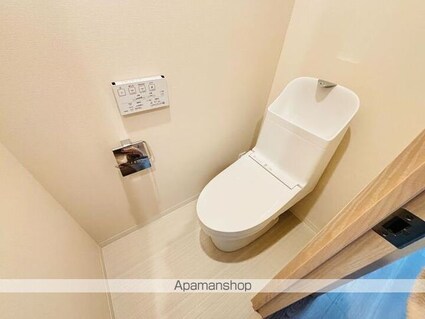 ＬＵＭＩＣＩＴＹ月島（ルミシティ月島）[2LDK/46.52m2]のトイレ