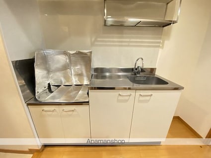 リビングステージ木町通[1K/25.61m2]のキッチン