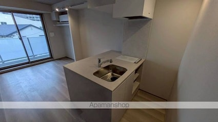 ｔｈｅ　ｔｒｉａｓ　ｋａｓｈｉｗａ[1R/20.5m2]のキッチン