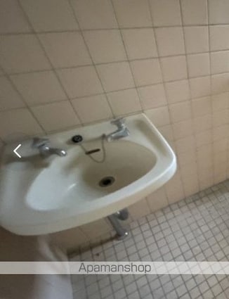 日商ニューハイツ[3K/49.93m2]の洗面所