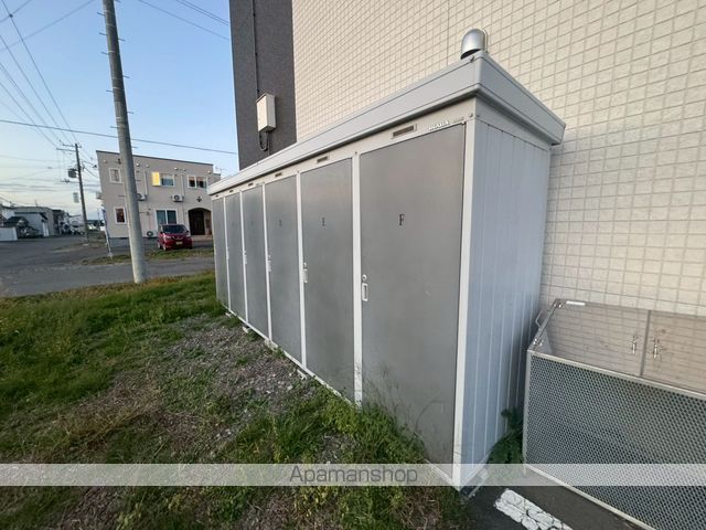 リトルシュシュのその他写真