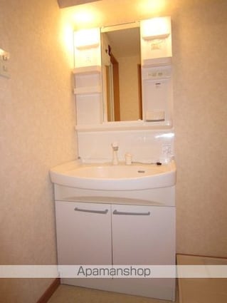 ダンデェリオン[2LDK/48m2]の洗面所