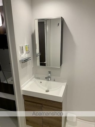 レガリス三軒茶屋[1K/25.8m2]の洗面所