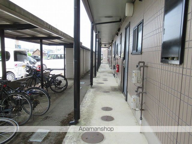 ヴィオラSIN Bのその他写真