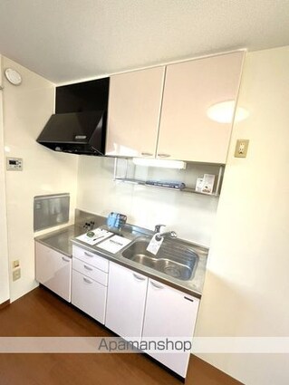 アイリスガーデン菰池　Ｂ棟[2DK/42.08m2]のキッチン