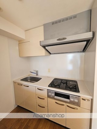 レジディア杉並方南町[1SLDK/54.52m2]のキッチン