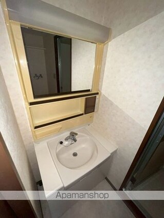 コンフォート聖蹟[3LDK/58.2m2]の洗面所