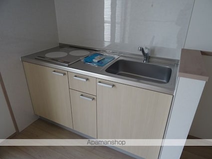 シャイニングパレス宮城野原[1LDK/29.3m2]のキッチン