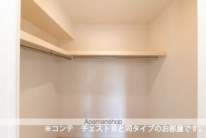 アウラティエ[1LDK/42.51m2]の収納