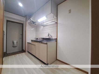 ブラウンハイム朝生田[1K/30.19m2]のキッチン