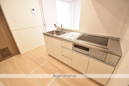 ファイン・ビレッチⅨ[1LDK/50.05m2]のキッチン