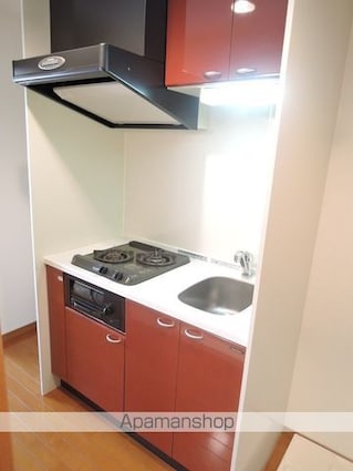 グランヴァン阿佐ヶ谷Ⅱ[1K/21.38m2]のキッチン