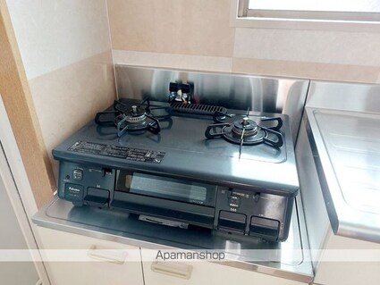 メゾン川吾[2K/36.45m2]の内装3