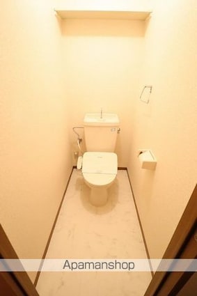 サイプレスタウン　Ｂ[2DK/47.69m2]のトイレ