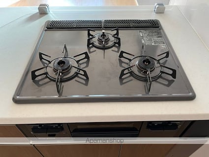 メゾン　デ　ソレール[1LDK/44.1m2]の内装5