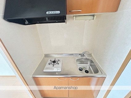 カルムアビタシオン大将軍[1R/27.25m2]のキッチン