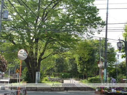 東京都世田谷区代田４丁目[1SLDK/50.44m2]の周辺1