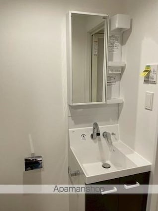 カーサブリランテ本駒込[1R/23.3m2]の洗面所