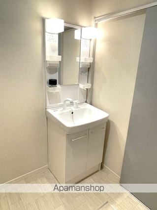 フレグランスラフォール[2K/43.54m2]の洗面所