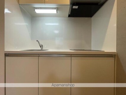 ルミークアン桜新町ノース[1R/25.76m2]のキッチン