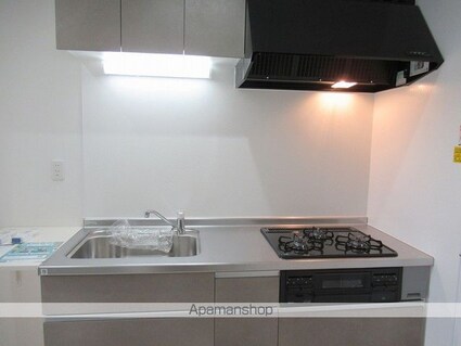 Ｌｉｅｎ（リアン）[1LDK/36.43m2]のキッチン