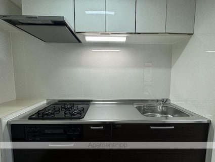 緑風館中央[2LDK/61.6m2]のキッチン