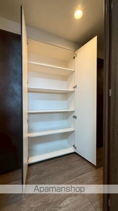 東京都八王子市寺町[1SLDK/52.54m2]の収納