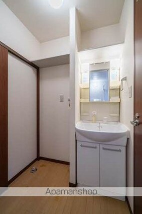 シャーメゾン新田東Ⅱ[1LDK/43m2]の洗面所