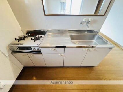 ビューアネックスⅡ[2LDK/54.8m2]のキッチン