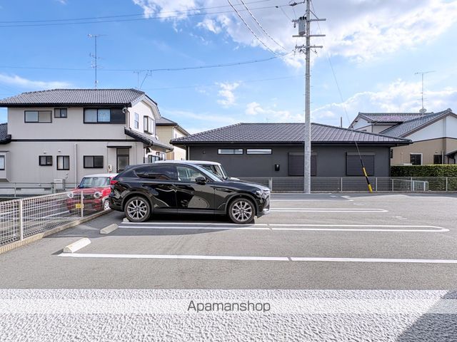 カメリアのその他写真