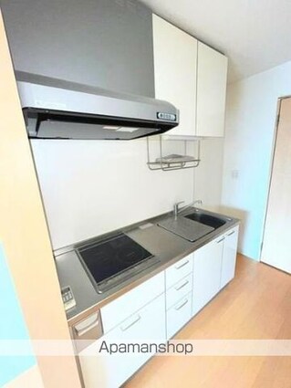 東京都立川市柴崎町２丁目[1K/26.25m2]のキッチン