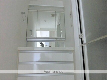 アルファライフ丸亀駅前[3LDK/70.54m2]の洗面所