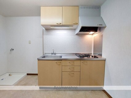 ニュークリアス[1DK/27.51m2]のキッチン