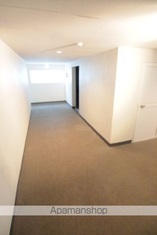 クリサンテームのその他写真