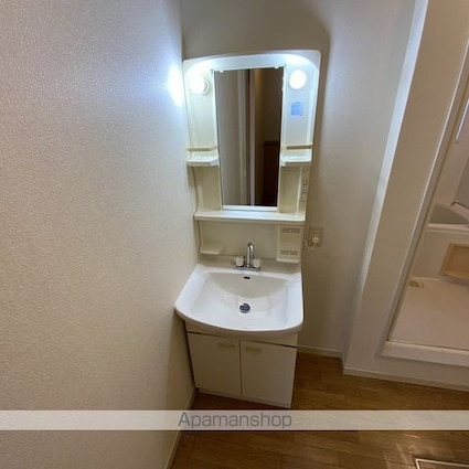 フォーレス　マロニエ[2K/42.84m2]の洗面所