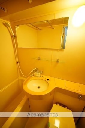 番衆エムエスビル[1R/22.72m2]の洗面所