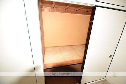 ニューシティ大瀧Ｇ[2LDK/52.99m2]の収納