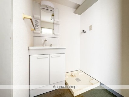 ハイム・ユーゲント[2K/39.93m2]の洗面所