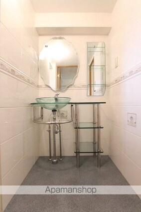 アリスト・ビバ・ルネッサンス[1LDK/43.2m2]の洗面所