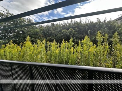 ディアス・セキネ[2K/40m2]の眺望