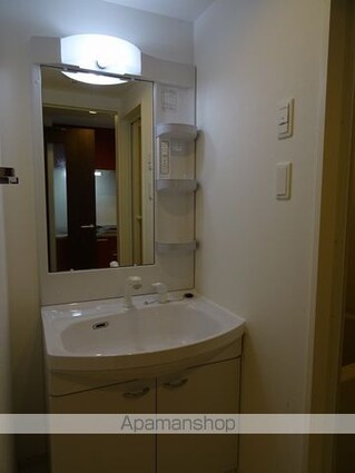 アスコット薬師堂駅前[1DK/33.32m2]の洗面所